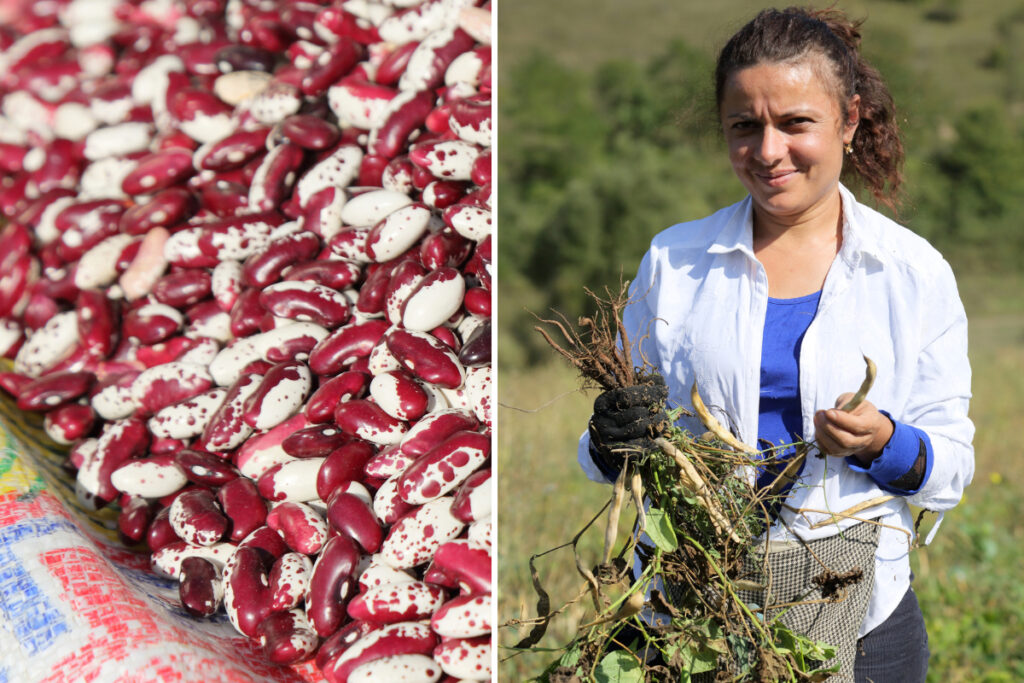 Unidas por la tierra Empoderamiento femenino a través de la agricultura 