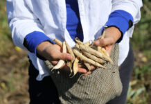 Unidas por la tierra Empoderamiento femenino a través de la agricultura