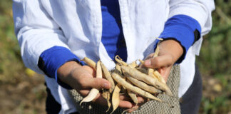 Unidas por la tierra Empoderamiento femenino a través de la agricultura