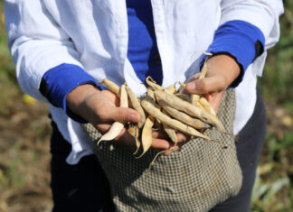 Unidas por la tierra Empoderamiento femenino a través de la agricultura