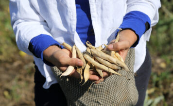 Unidas por la tierra Empoderamiento femenino a través de la agricultura