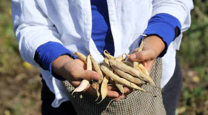 Unidas por la tierra Empoderamiento femenino a través de la agricultura