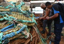 Más allá de la captura la ciencia detrás de la pesca sostenible en el Océano Índico