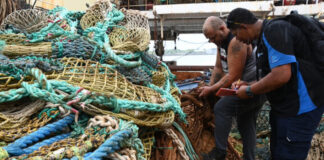 Más allá de la captura la ciencia detrás de la pesca sostenible en el Océano Índico