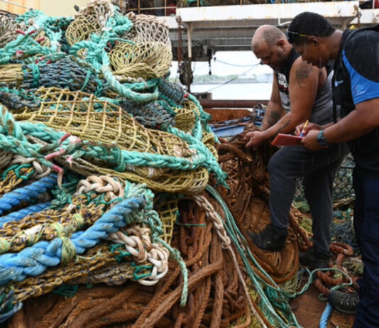 Más allá de la captura la ciencia detrás de la pesca sostenible en el Océano Índico