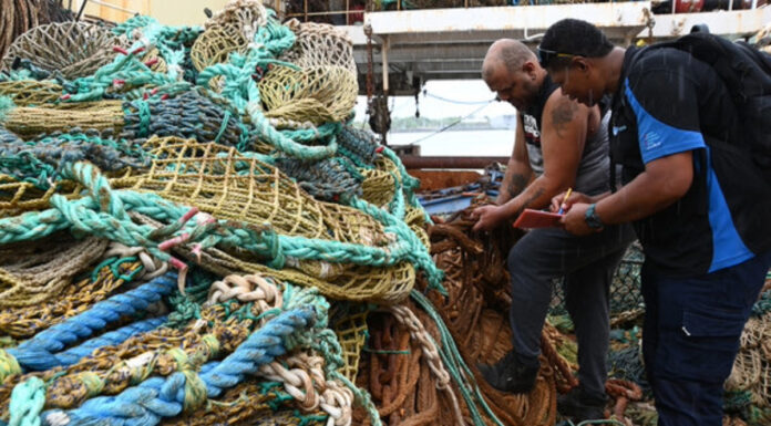 Más allá de la captura la ciencia detrás de la pesca sostenible en el Océano Índico