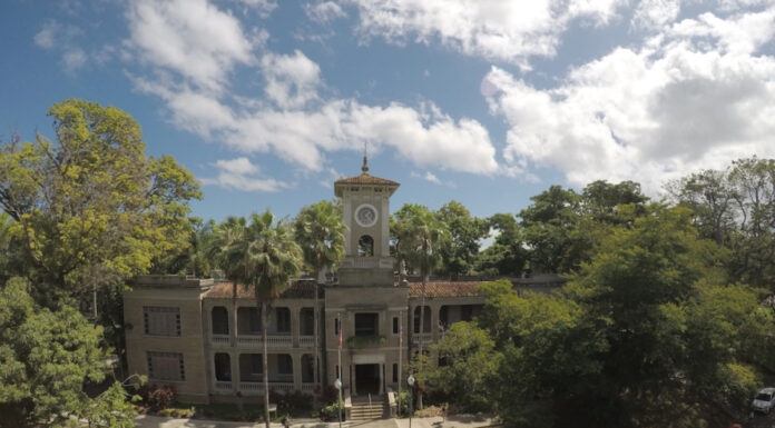 UPR Mayagüez lanza cursos gratuitos en línea con opción a créditos universitarios