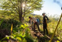 Uniendo fuerzas por la Patagonia - La nueva campaña de voluntariado en Torres del Paine