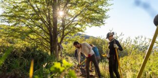 Uniendo fuerzas por la Patagonia - La nueva campaña de voluntariado en Torres del Paine