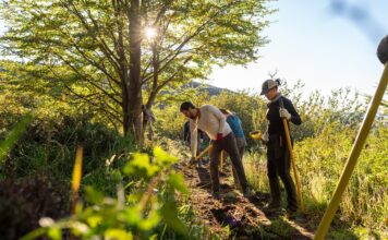 Uniendo fuerzas por la Patagonia - La nueva campaña de voluntariado en Torres del Paine