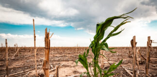 2024 rompe récords climáticos y enciende alertas globales según la OMM