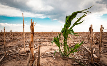 2024 rompe récords climáticos y enciende alertas globales según la OMM