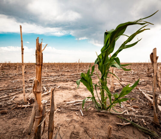 2024 rompe récords climáticos y enciende alertas globales según la OMM