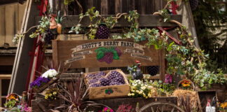 Knott's celebra 10 años del Festival Boysenberry con sabores, música y diversión sin límites