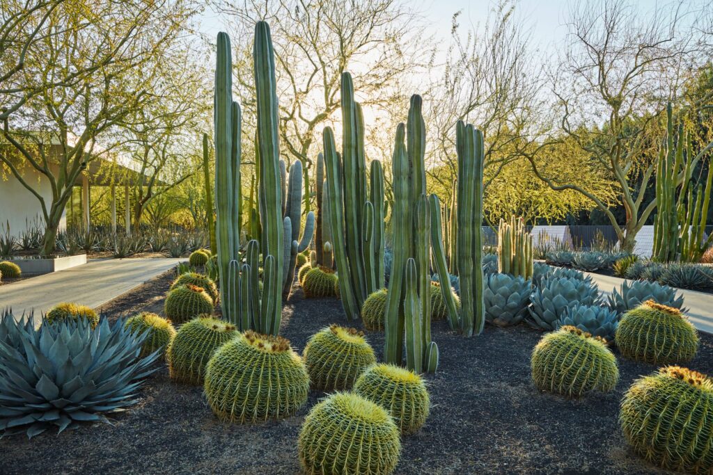 Museos del sur de California abren sus puertas con entrada gratuita el 16 de marzo 