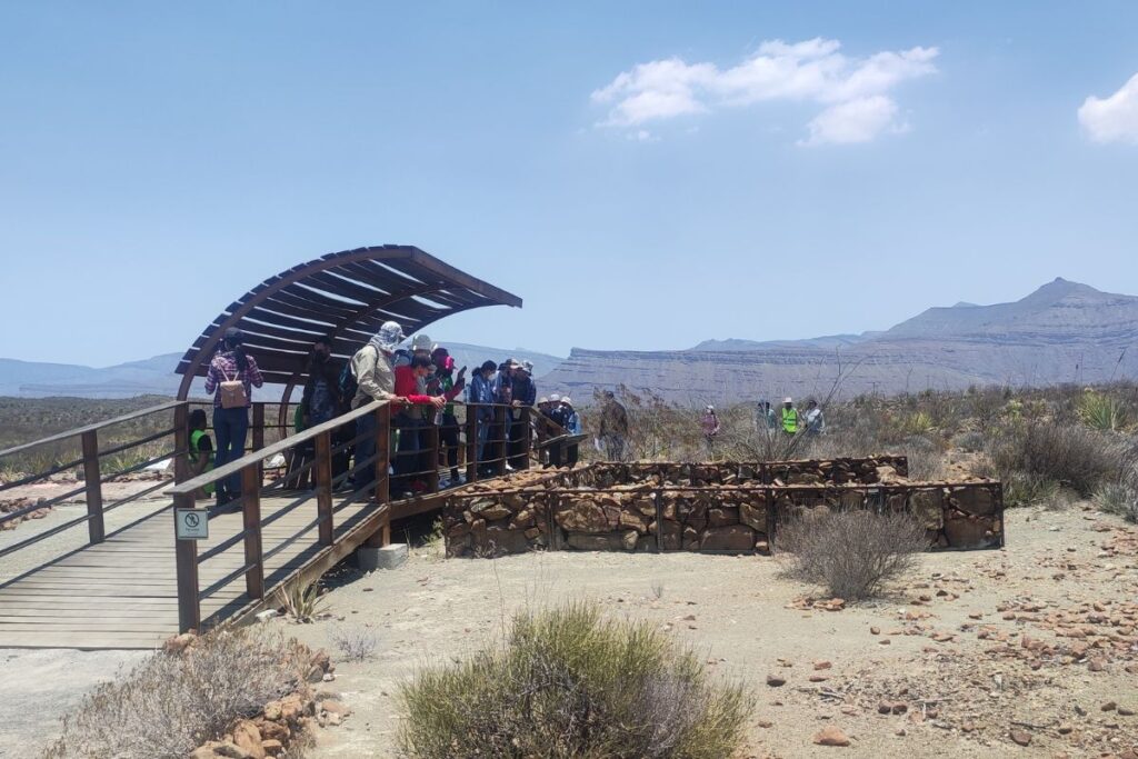 Rincón Colorado Un tesoro paleontológico de México reconocido en Iberoamérica