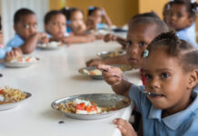 Sembrando futuro El poder de la alimentación escolar en América Latina